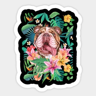 Tropical Chocolate Tri Color English British Bulldog Sticker